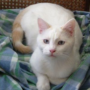 Meet your Posher, Christie